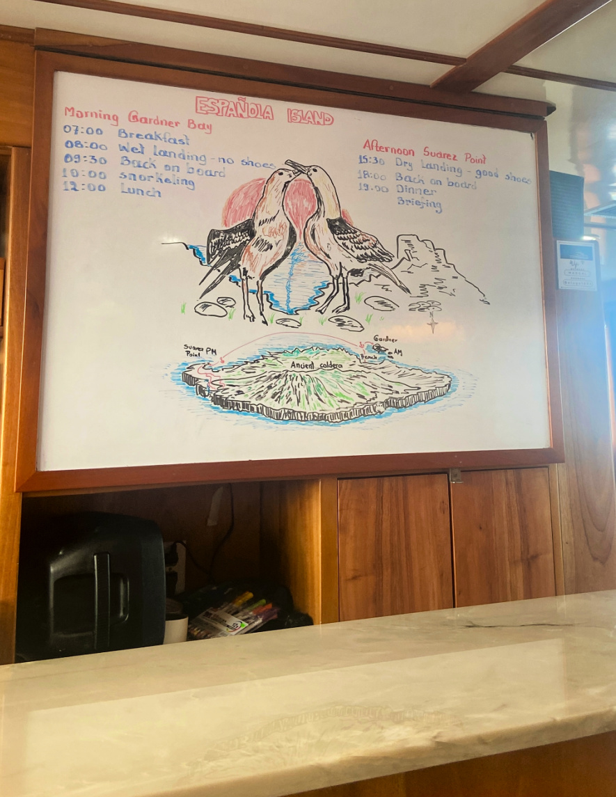 Galapagos Beluga Schedule - SavvyMom