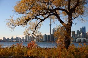 Things to Do on Thanksgiving Monday in Toronto - SavvyMom